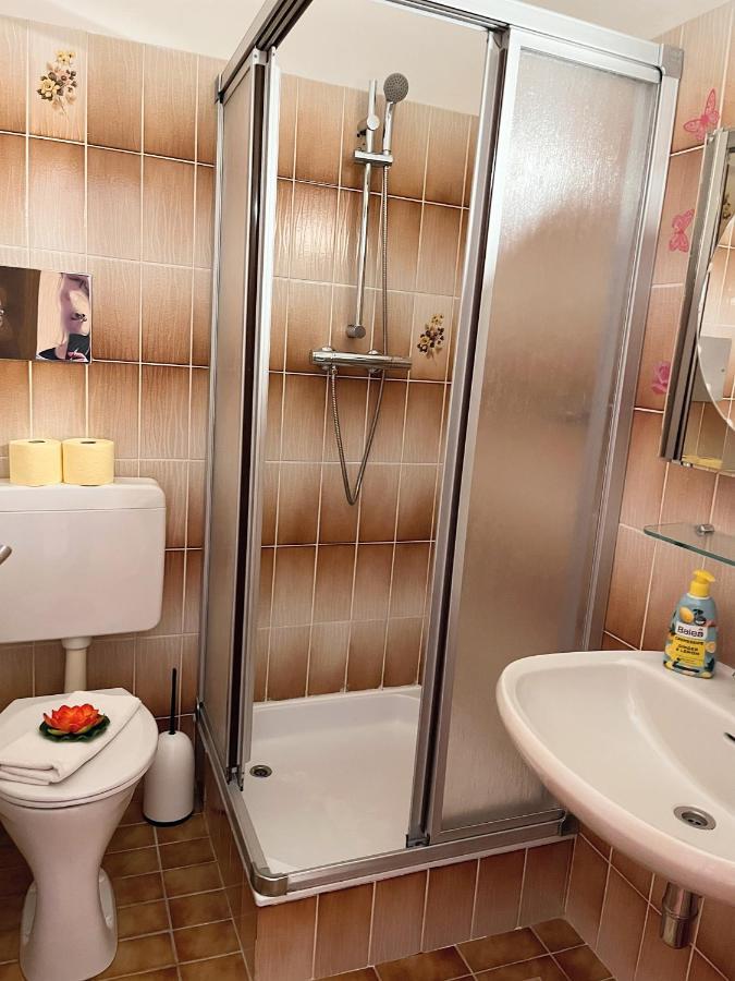 Fruehstueckspension Elena Nicoleta Caltun Fischamend Exterior foto