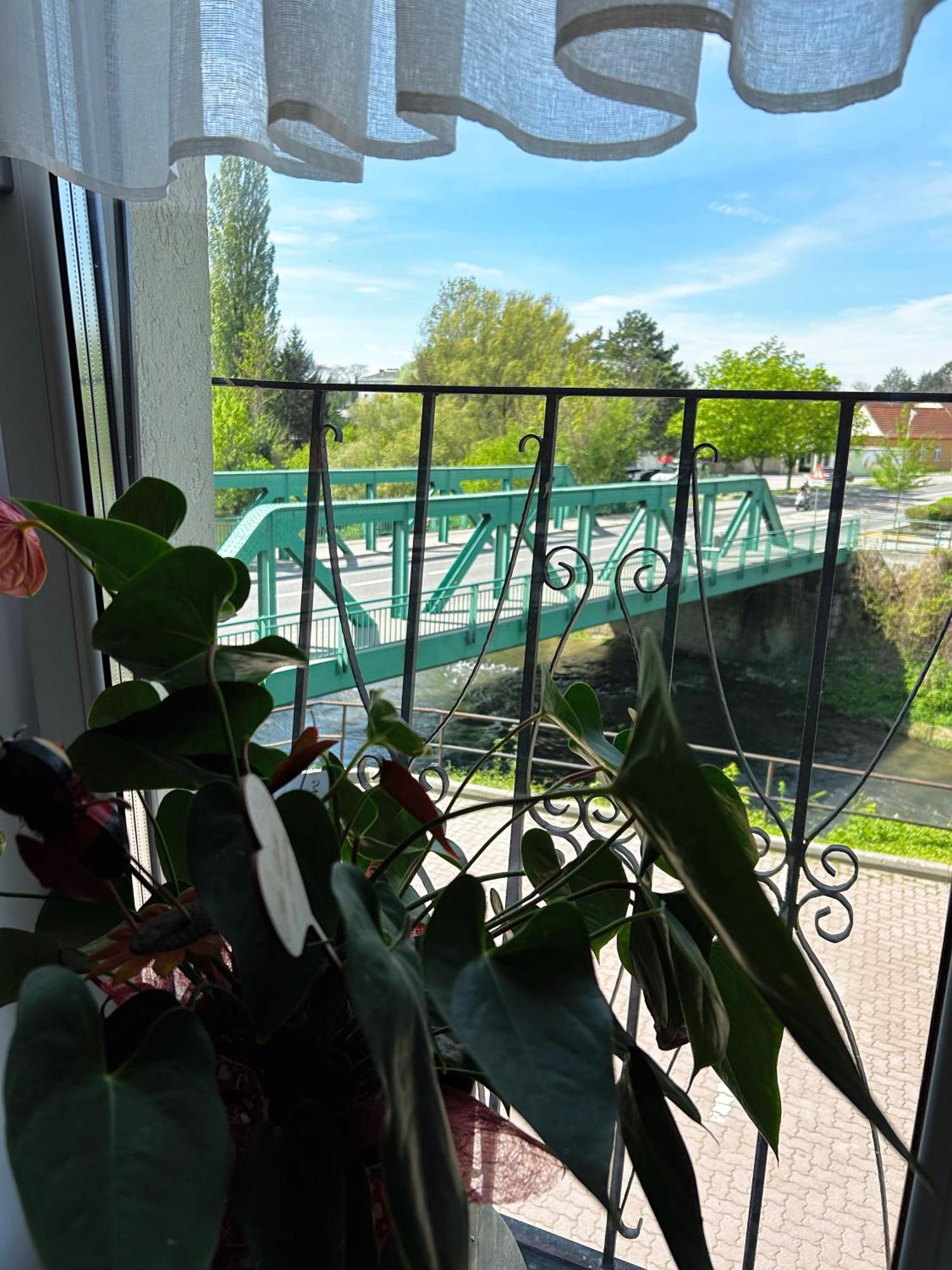 Fruehstueckspension Elena Nicoleta Caltun Fischamend Exterior foto